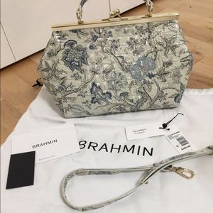 New blue jay Brahmin Juliette